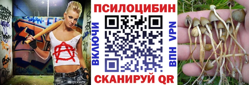 мега ссылка  Мглин  Галлюциногенные грибы мицелий 